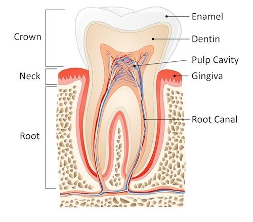 root canal treatment in Gaur City 